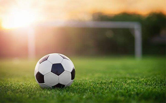 Sports Policy